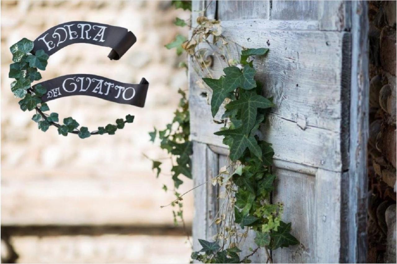 Edera Dei Guatto Bed and Breakfast Bertiolo Exteriör bild